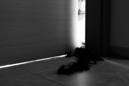 DUP2_LukaCarlevaris_Hair-01_Photography