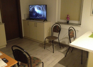 TadejZnidarcic_DokumentarniEsej_RokUrbancek_11
